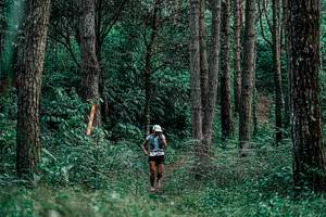 BIB: 
                            <button type="button" onclick="openModal(25235944)" class="btn btn-primary btn-sm float-right btn-popup" data-toggle="modal" data-target=".modal-high-quality">
                        <i class="fas fa-shopping-cart"></i> Add to Cart
                    </button>
                                            <button type="button" onclick="isThisMe(25235944, true)" class="btn btn-success btn-sm float-right btn-popup btn-isme hidden" data-toggle="tooltip" data-placement="bottom" title="นี่คือรูปของคุณใช่ไหม คลิกที่นี่เพื่อเอาเข้าอัลบั้ม">
                        <i class="fas fa-plus"></i> Add to album
                    </button>
                    <button type="button" onclick="isThisMe(25235944, false)" class="btn btn-warning btn-sm float-right btn-popup btn-isnotme hidden">
                        <i class="fas fa-ban"></i> Remove from album
                    </button>